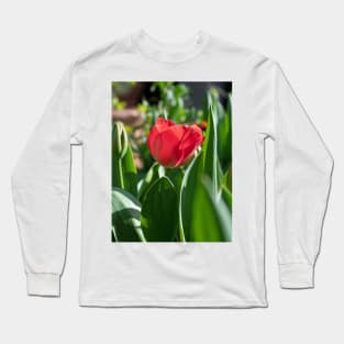 Red Tulip flower with green leaves Long Sleeve T-Shirt